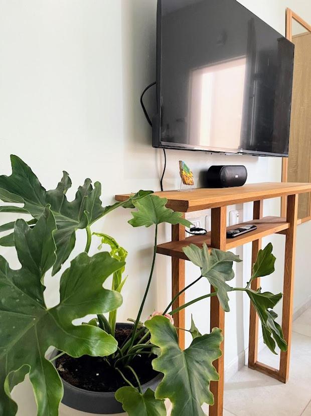 Serenity Apartment *